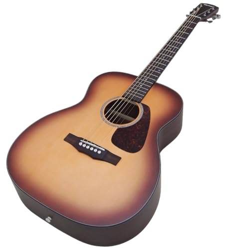 F-1 BS ���[���X ���S�� ���� �A�R�[�X�e�B�b�N�M�^�[ �y�M�O�o�b�O&Ebi�I���W�i���s�b�N�t�z