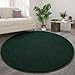 FlyDOIT Round Area Rugs for Bedroom Living Room, 4x4 Dark Green Super Soft Comfy Thickened Memory-Foam Indoor Circle Carpet, Modern Aesthetic Minimalist Carpet for Boys Girls Adults Nursery Home Décor
