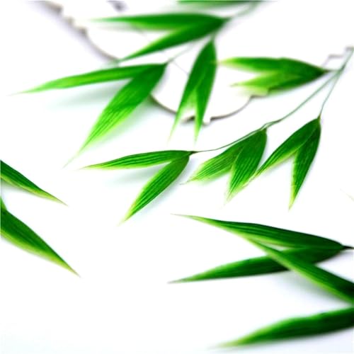 100 piezas flores prensadas secas para DIY joyería miniatura 5