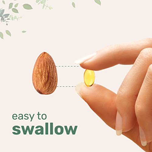 Micro Ingredients Oil Of Oregano Softgels 6000Mg Per Serving, 300 Count | With Black Seed Oil, 4X Strength Carvacrol & Thymoquinone | Plant Based, Non-Gmo | Antioxidant & Immune Support #TOP5