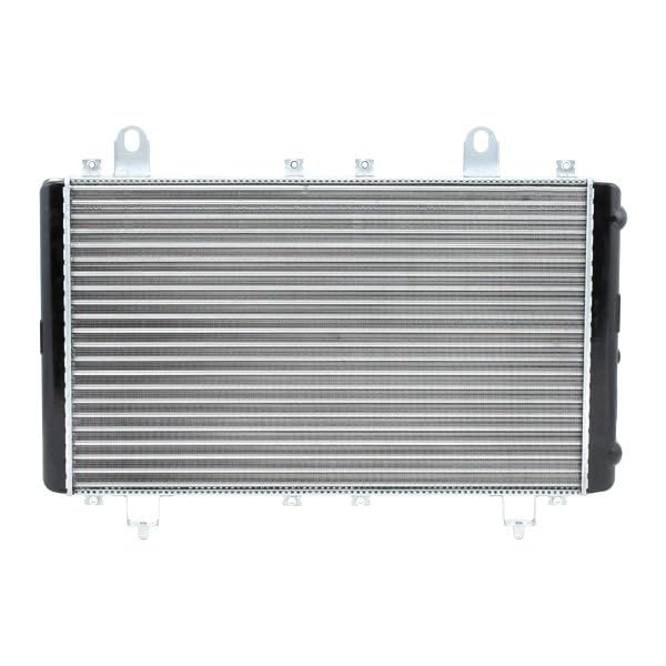 Radiateur du moteur RIDEX 470R0145 au prix de 33.58 € | Achetez sans attendre