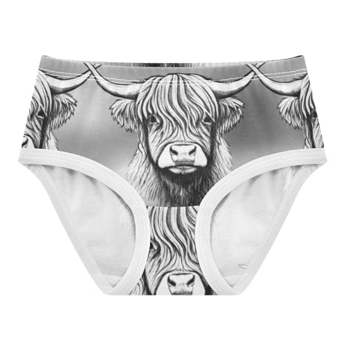 Highland Cows Grey Panties for Girl Girls Underwear Toddler Cotton Colorful Undies Kids Briefs 2t