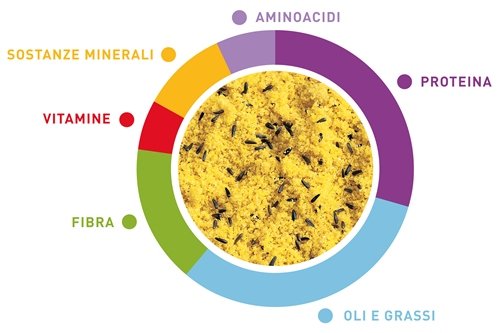 Padovan ovomix Gold Giallo pastoncino patè Morbido per canarini Uccelli granivori 3 kg
