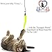 Pet Fit For Life Cat Wand Toy: 5-Piece Worm Teaser & Exerciser - Durable Flirt Pole/Cat Teaser Toy – Interactive Fun for Feline Fitness