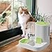 IEUDNS Automatic Pet Feeder Waterer, Cat Feeder, Dog Bowl, Removable Portable Water Dispenser, Green