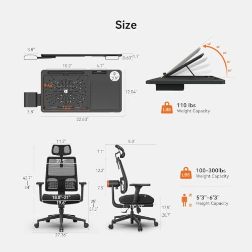 Image of DROGO Ergonomic Office Chair for Work from Home, High Back Computer Chair with Adaptive Lumbar Support, 4D Armrest, Tray, Recline, Adjustable Height & Headrest, Mesh Chair for Office /Home (Black)