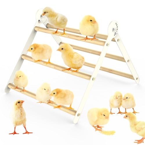 Image of Bamboo Adjustable Chicken Perches, with Adjustable 7 Circles Holder, Strong Roost Bar for Coop&Brooder, Training Perch for Chicks, El Pollitos, La Pollita, Easy to Install & Clean, Fun Toys for Chicks