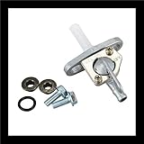 TERAM LOISIRS Robinet Essence Compatible pour Honda CR 500 de 1984 à 2001 Neuf France
