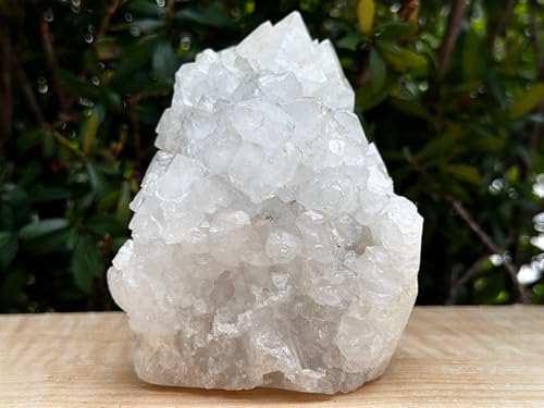 Image of GAF TREASURES Chalcedony & Crystal Quartz Stalactite 3-8 inch, Natural Quartz on Chalcedony Stalactite Specimen (2-3 lb)