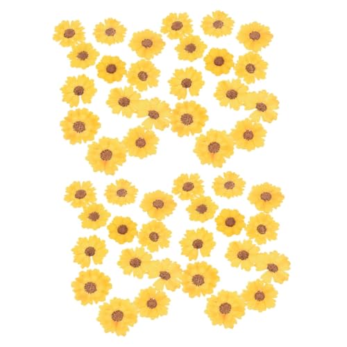 VILLCASE 48 Peças faça mesmo decoração de mão flores secas de velas DIY marcadores de pagina marcado