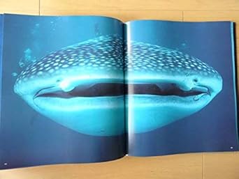 大人気商品 洋書 サメの写真集 動物 ジョーズ 鮫 本 洋書 外国語書籍 Labelians Fr