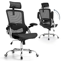 Fizzin Office Chair Mesh Desk Chair