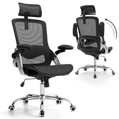 Fizzin Office Chair Mesh Desk Chair with 3D Armrests Computer Chair