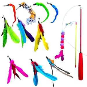 Cute Meows pet Supplies Sparkling Custom Stick Toy Colorful Interactive Cat Toys, 12 Pieces Cat Feather Toy with 10 Replacement Heads, 1 Telescopic Rod and 1 Teasing Stick for Play and Exercise