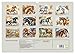 Elegant and Graceful (Wall Calendar 2026 DIN A3 Landscape), CALVENDO Monthly Calendar: Beautiful AI Generated Watercolours of Horses