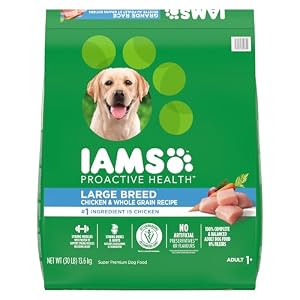 Iams Proactive Health
