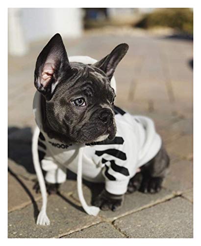 Dog's Clothes French Bulldog Clothes Dog Hoodie Warm Sport Retro Dog Hoodies Pet Clothes Puppy Dog Pugs Puppy Clothes Chihuahua (Color : White, Size : Xxl Chest 56 61Cm) #TOP5