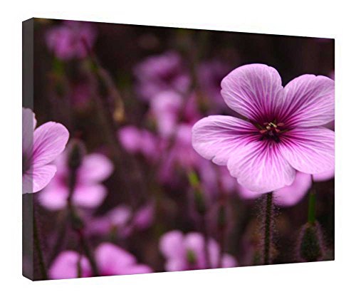 Tableau violet avec cadre bois 40x50 cm pour salon cocooning