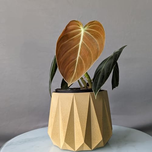 Image of Little Jungle X CuteCrete Sage Concrete Planter For 3 inch - 4 inch Pots (Yellow) | | flower pots for home decoration | Balcony Decor | Garden