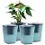 Oliz Self Watering Planter 2 Pieces 6 Inch, Plastic Flower Pots with Inner Pot Indoor Plants Brick Pattern Flowerpot for Indoor Plants, African Violets, Flowers, Herbs