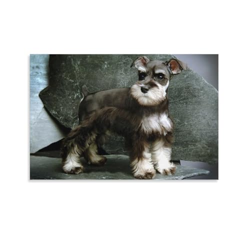 Poster Schnauzer sur toile 40x60 cm pour decoration murale moderne de chambre