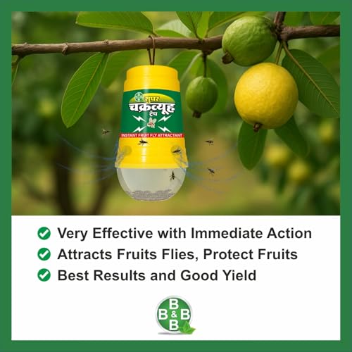 B & B Agro Products Chakravyuha Fruit Fly Attractant Trap for Fruits & Vegetables – 10 Traps + 10 Lures – Effective Pest Control for Garden, Farm, and Crops (Pack of 10)