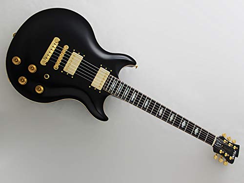 ギター FUJIGEN BIL-G-HH/BK/01 FUJIGEN Boundary ILIAD BIL2-G-HH（BLK） ｜イケベ楽器店オンラインストア