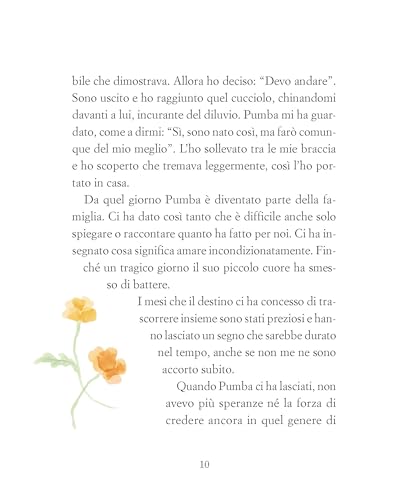 Il Sogno Di Pumbino - 6