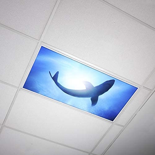 Image of Fluorescent Light Cover for Classroom Ceiling Lights - Premium Backlit Film Insert 2x4 (22.38 inchx46.5 inch) Florescent Fixture (Pack of 1) School, Office, Sensory, Improve Focus, Eliminate Headaches - Shark