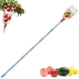 ZAAOEHA Fruit Picker Tool,8FT Apple Picker Pole with Basket Adjustable, Long Handle, Easy to Attach,