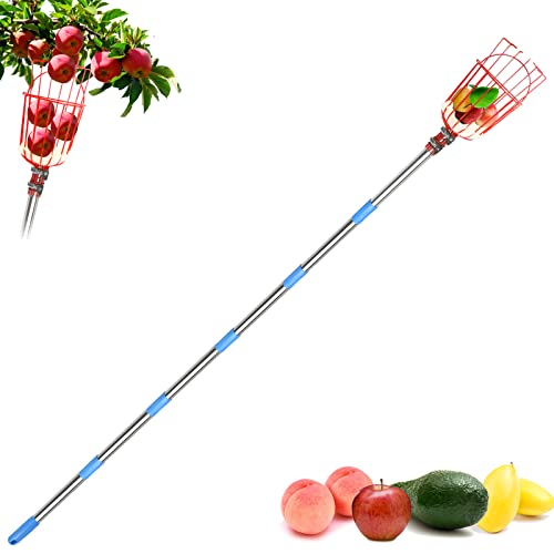 Zaaoeha Fruit Picker Tool,8Ft Apple Picker Pole With Basket Adjustable, Long Handle, Easy To Attach,Stainless Steel Fruits Catcher Tree Picker For Picking Apples, Oranges, Mangoes, Lemons, Avocados #TOP21