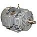 Worldwide Electric EP30-36-286TS Epic Plus Severe Duty Motors Three-Phase, TEFC Enclosure, Rigid Base, 30 hp, 3600 RPM, 286TS Frame, 35.2 Amp