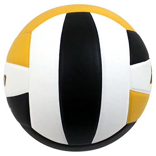 Image of Baden | Perfection | Premium Leather | Indoor Official Game Volleyball | 13U to College | Official Size + Weight | NFHS + AVCA Approved