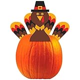 Turkey Pumpkin Decorating Kit