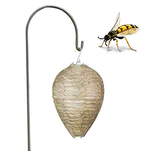 AGZHU 2 Stück Wespennest, Lockvogel, natürliche Wespennest, umweltfreundlich, zum Aufhängen, Wespenabwehr, Lockvogel, Abwehrmittel für Wespen, Hornetten, gelbe Jacken, PMS Papierköder, Wespen Cover
