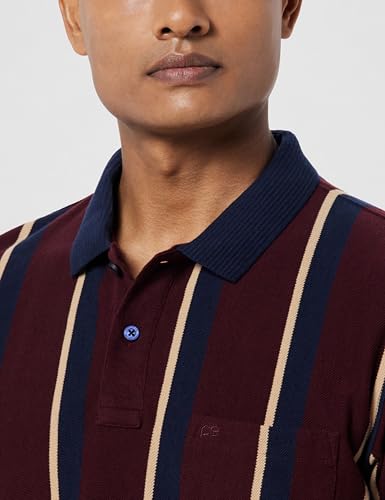 Image of Peter England Men's 100% Cotton Vertical Striped Polo T-Shirt - Casual Wear | Sleek & Comfortable