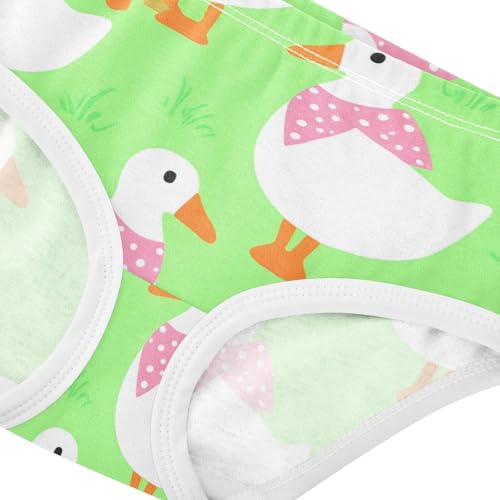 Toddler Underwear Floral 2t Cotton Cute Panties Girl Colorful Kids Briefs Undies Cute White Geese Green4