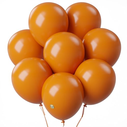 Image of AFTERLOON Biodegradable Balloons 24 pcs Orange balloons 12 Inch, Natural Rubber Latex Plastic-Free Alternative Matte Color Durable Thickened Extra Strong Helium Balloons (Orange-12 inch-24pcs),