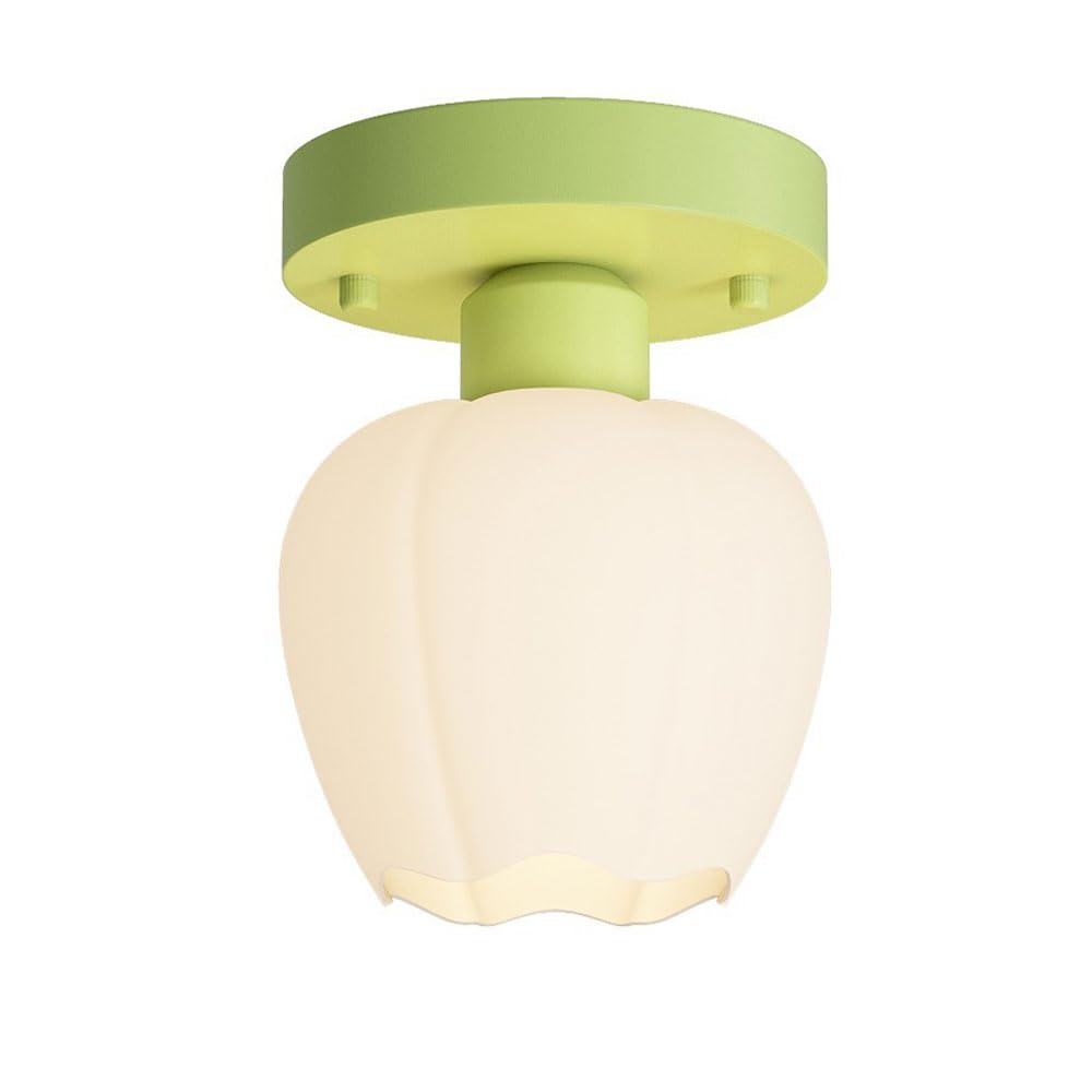 Genérico Lámpara de Techo Moderna de Estilo Nórdico con Forma de Flor LED Regulable - Elegante Luminaria Empotrada para Pasillos Y Dormitorios
