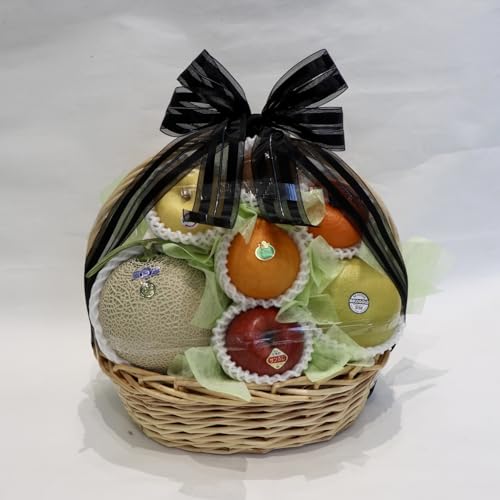 Mtg ʕ ʕ 䌩₨ajɂlC É̃t[cXVVI m[uhi ①֑Ή ()