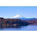 SANSHUI Jigsaw Puzzle Monte Fuji En Japón La Serie Creativa Decoraciones De Madera Juguetes Educativos For Adultos 500-6000 Piezas Juego De Descompresión 0311 (Color : A, Size : 4000 Pieces)