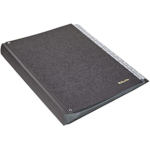Esselte Leitz 1114119 Archivador de cartón duro con 31 separadores Cover