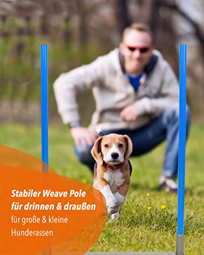 SPORTIKEL24 2by2 Weave Poles – Blau – 2er Set Agility-Slalomstangen mit Metallbasis – für Training & Parcoursaufbau – erweiterbar & mobil