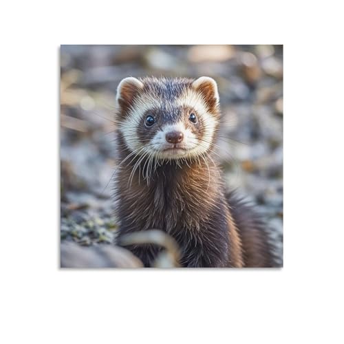 Toile furet pour raviver un mur blanc décoration abstraite moderne 70x70 cm