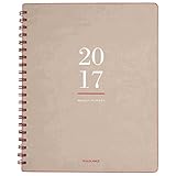 AT-A-GLANCE 2017 Weekly / Monthly Planner / Appointment Book, 8-1/2 x 11