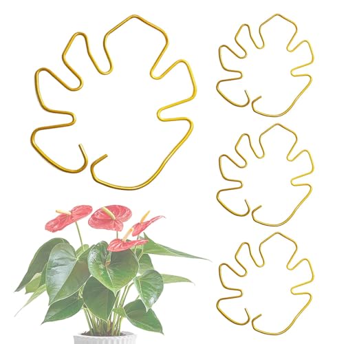 Soporte para plantas | Juego de 4 soportes reutilizables para plantas Monstera, rejilla, hortensias, rosas, tomates