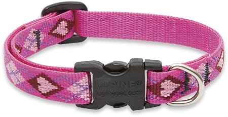 royal canin cat sensitive