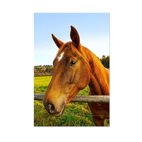 Toile animaux cheval marron grand format peinture murale automne tableau moderne 70x110cm