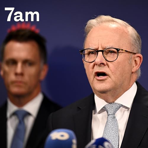 Albanese's plan to tackle anti-semitism cover art