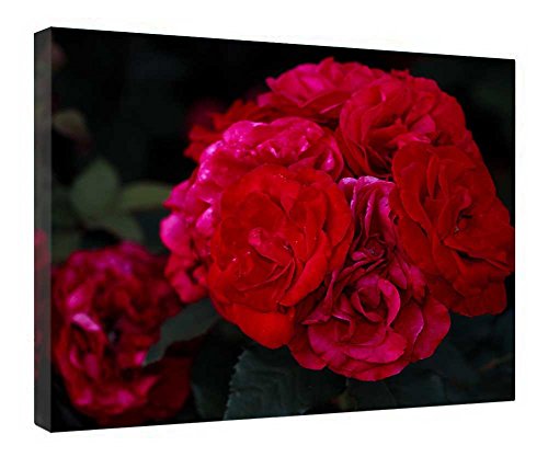 Toile de roses rouges prête à suspendre, fini les murs vides avec ce cadre bois
